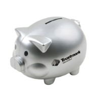 DS050S Coin Bank(Silver)