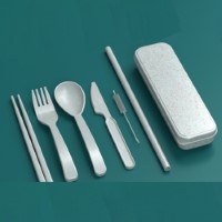 DS1429 Cutlery Set